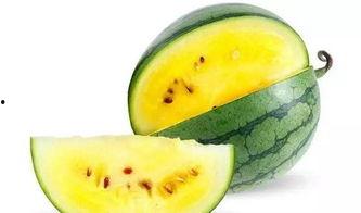 周口吊瓜怎么吃才好吃视频,视频教你轻松享美食 周口吊瓜怎么吃才好吃视频,视频教你轻松享美食