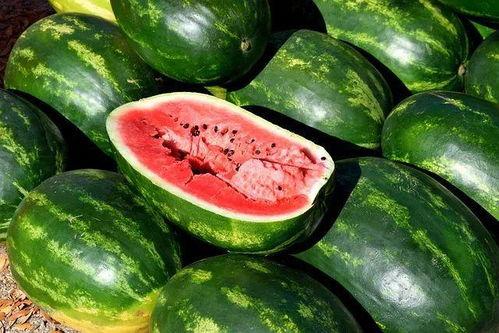 瓜如何吃更更美味视频,解锁美味瓜食的秘诀技巧