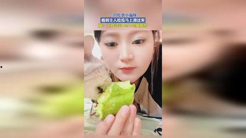 奶咪 吃瓜视频在线观看,带你领略网络娱乐新风尚 奶咪 吃瓜视频在线观看,带你领略网络娱乐新风尚