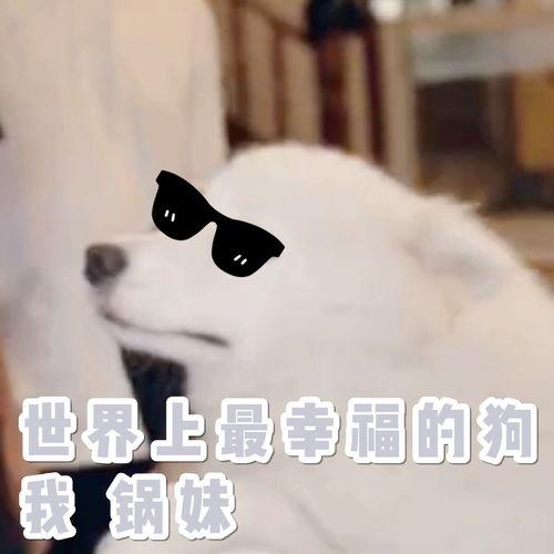 在家里做麻瓜吃的视频,简单美味,轻松上手 在家里做麻瓜吃的视频,简单美味,轻松上手