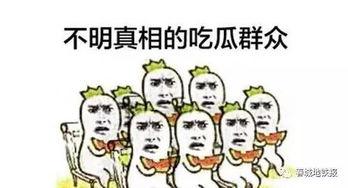 学做吃瓜群众视频下载,视频下载攻略全解析