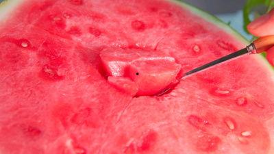 迪奥吃瓜视频素材,揭秘明星幕后趣事