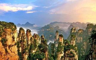 张家界吃瓜事件视频最新,一场网络热议的瓜田奇遇记