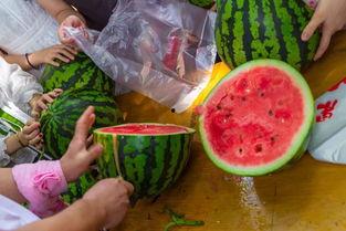 海大事件吃瓜最新进展视频,视频揭秘幕后真相